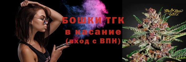 spice Богородицк