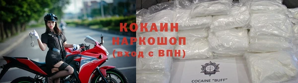 spice Богородицк