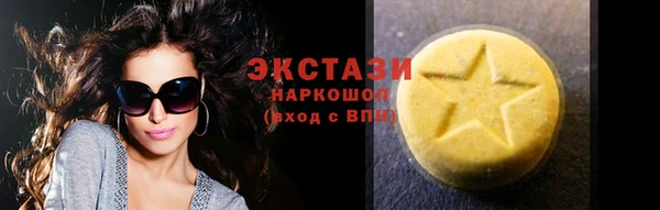 spice Богородицк