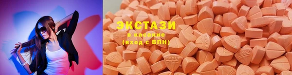 spice Богородицк
