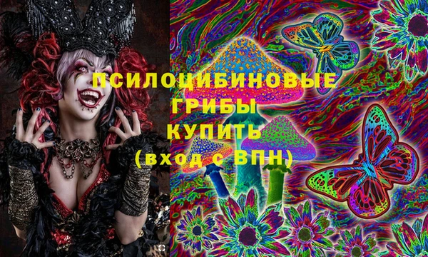 соль курить ск Богданович