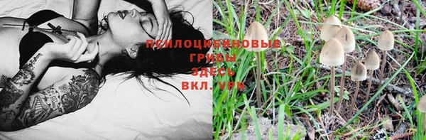 spice Богородицк