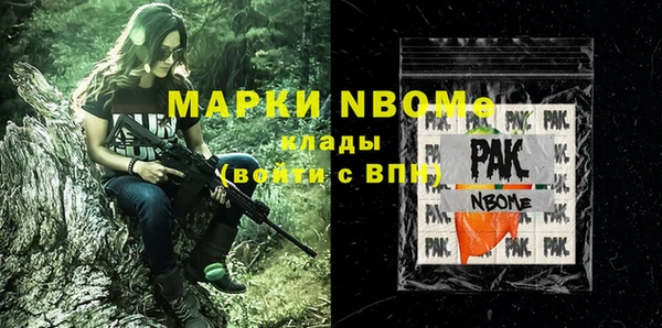 spice Богородицк