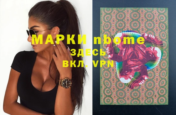 spice Богородицк